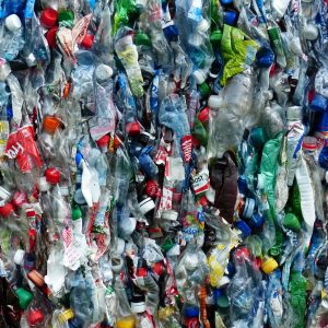 plastic-bottles-115077_1920